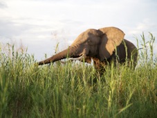 Lusaka Lower Zambezi 2